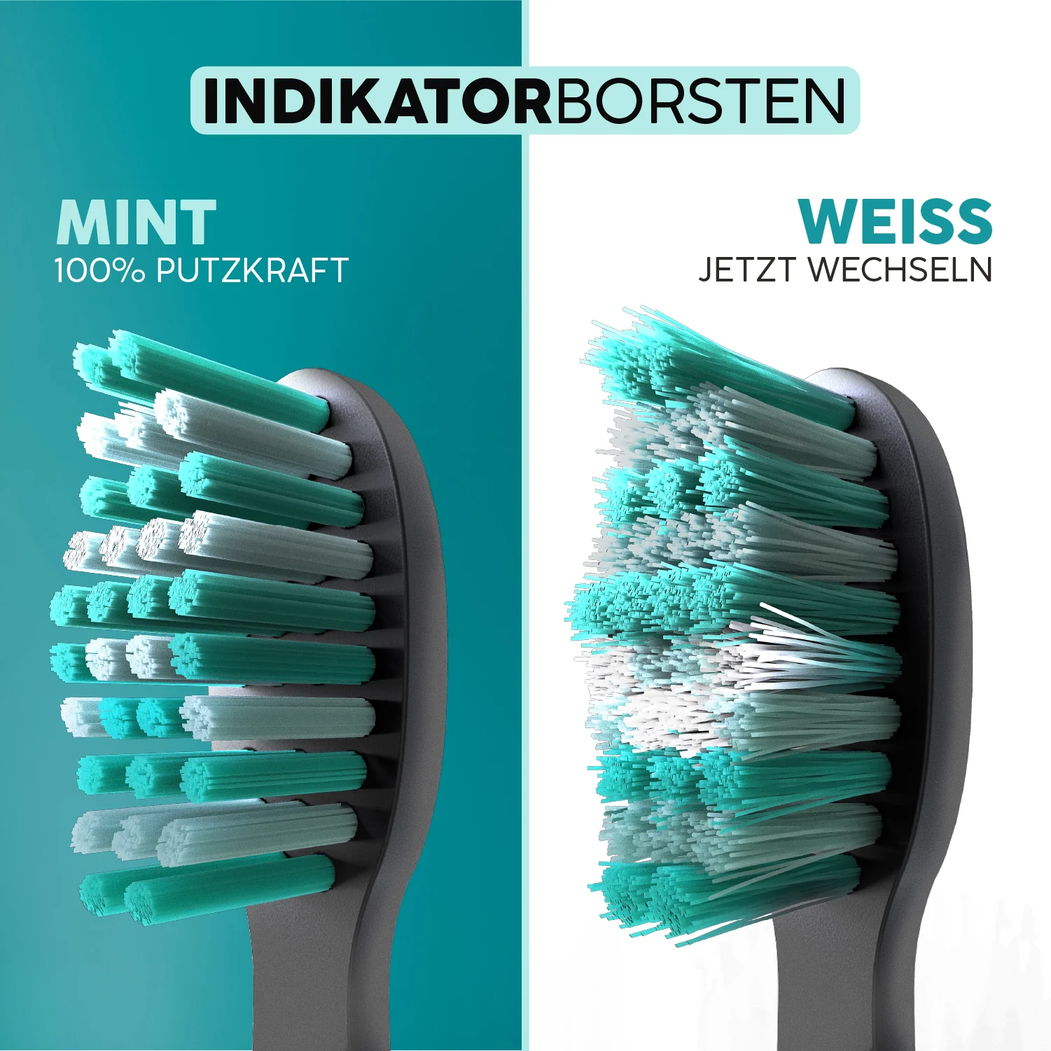 Aufsteckbürsten Eco Vibe 3+ | Black-Mint - Image 4